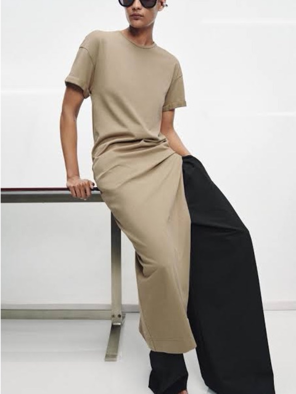 Zara Taupe Dress - NWT